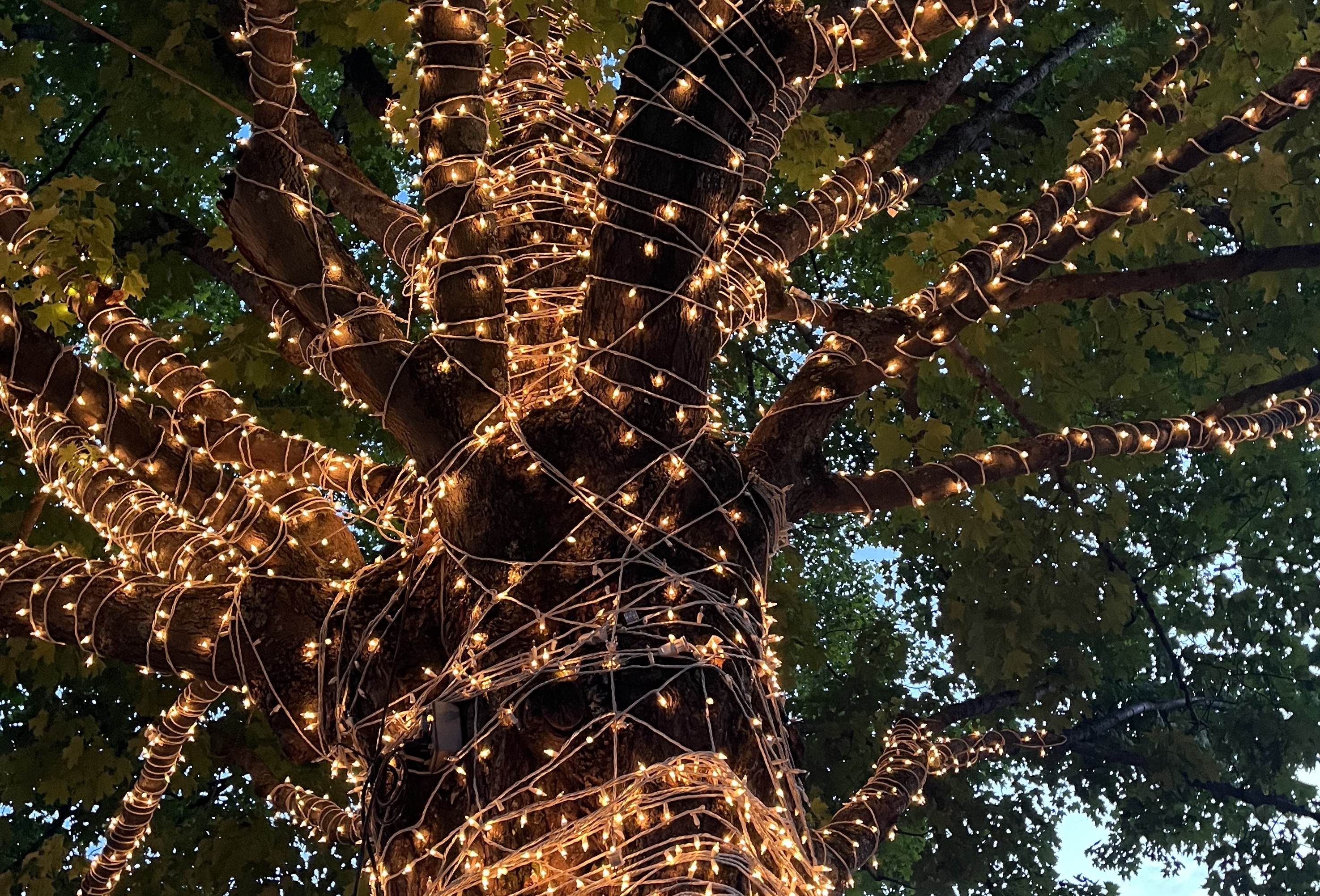 Group of people celebrating on stage