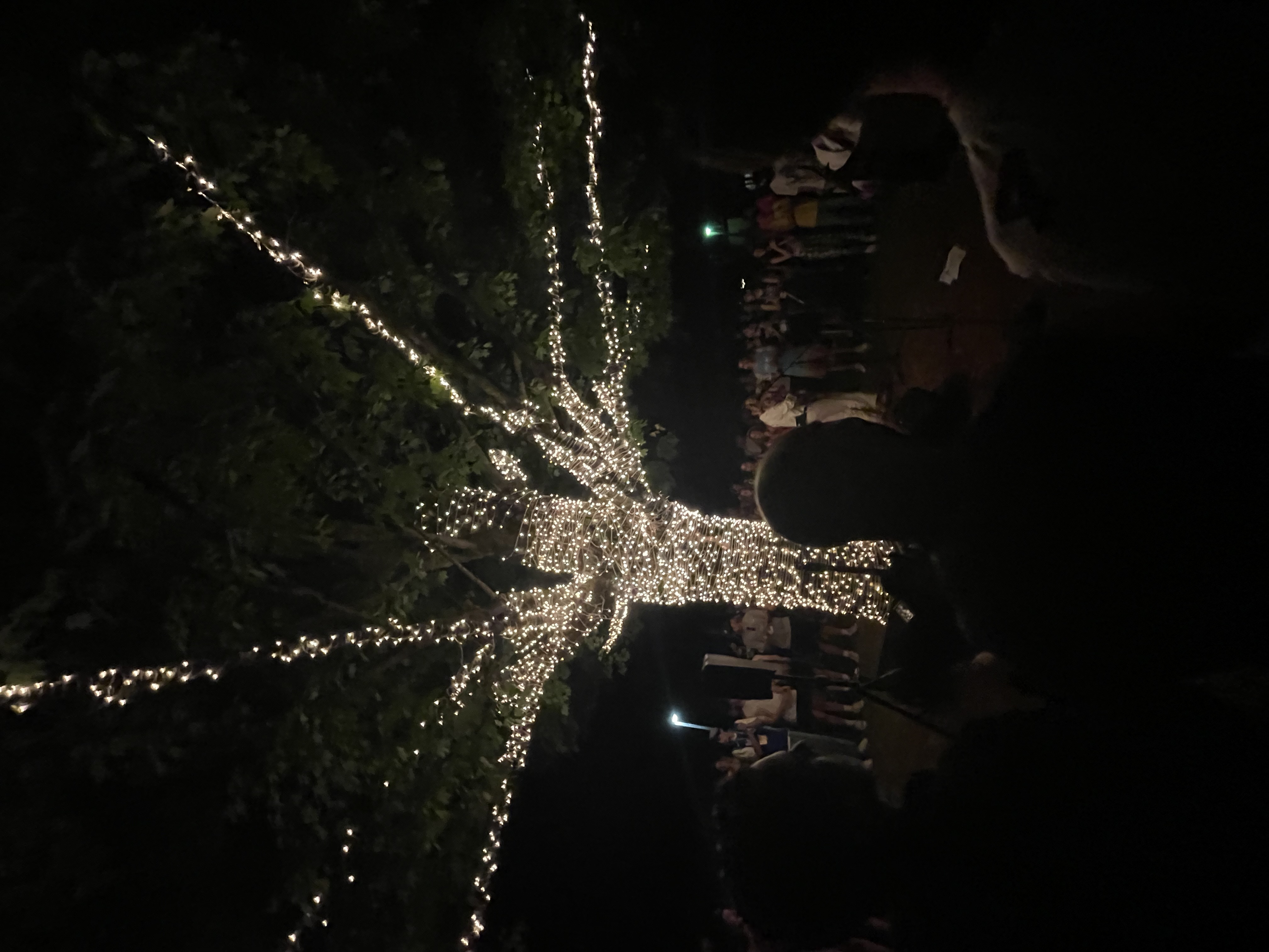 6863f4617dc2bba6df4eb719_IMG_7952