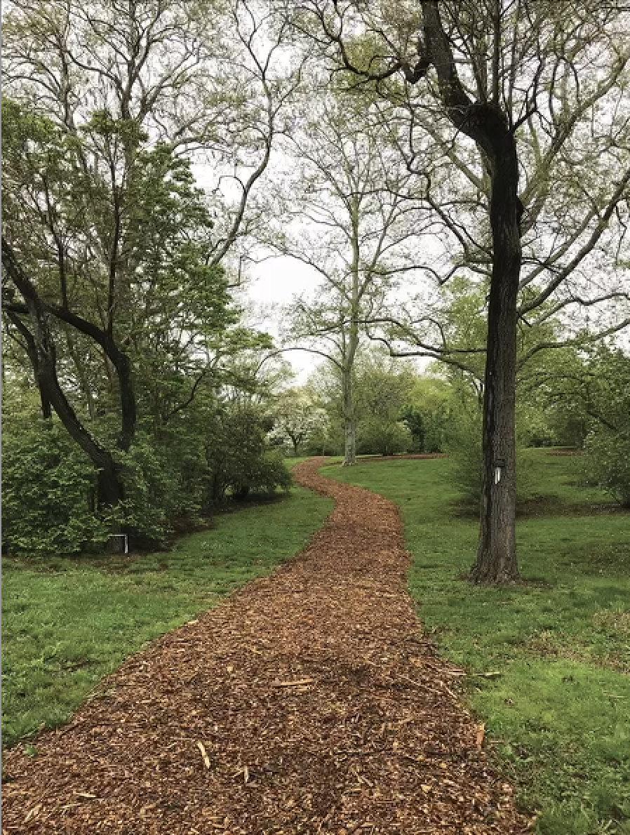 Group of people celebrating on stage