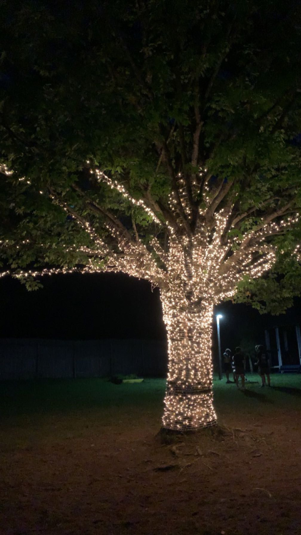 6733aa3751a3ffd9e54c1393_IMG-7141