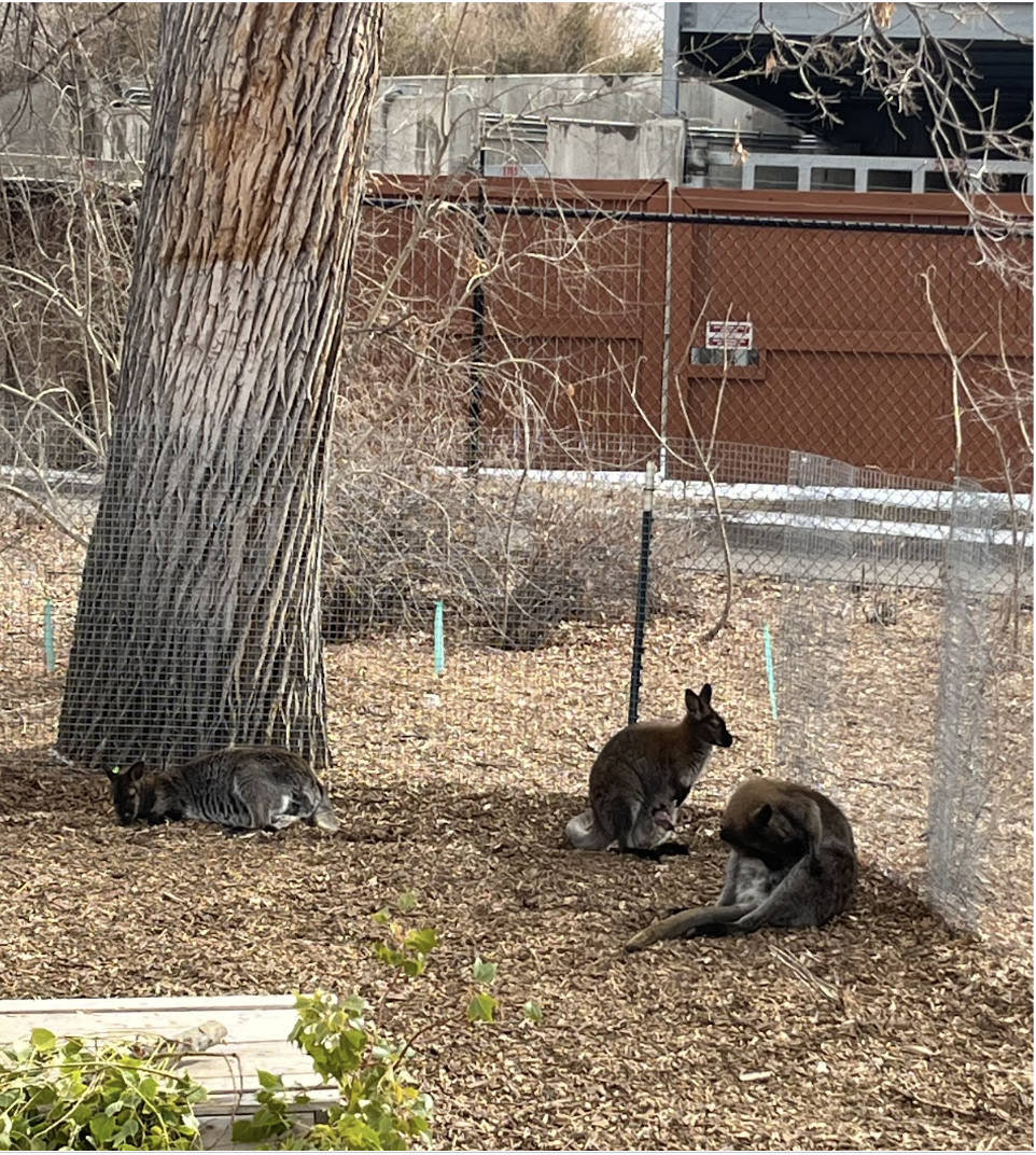 67b1329cdcb0b34e4313aaa0_Screenshot 2025-02-15 at 5.33.51 PM