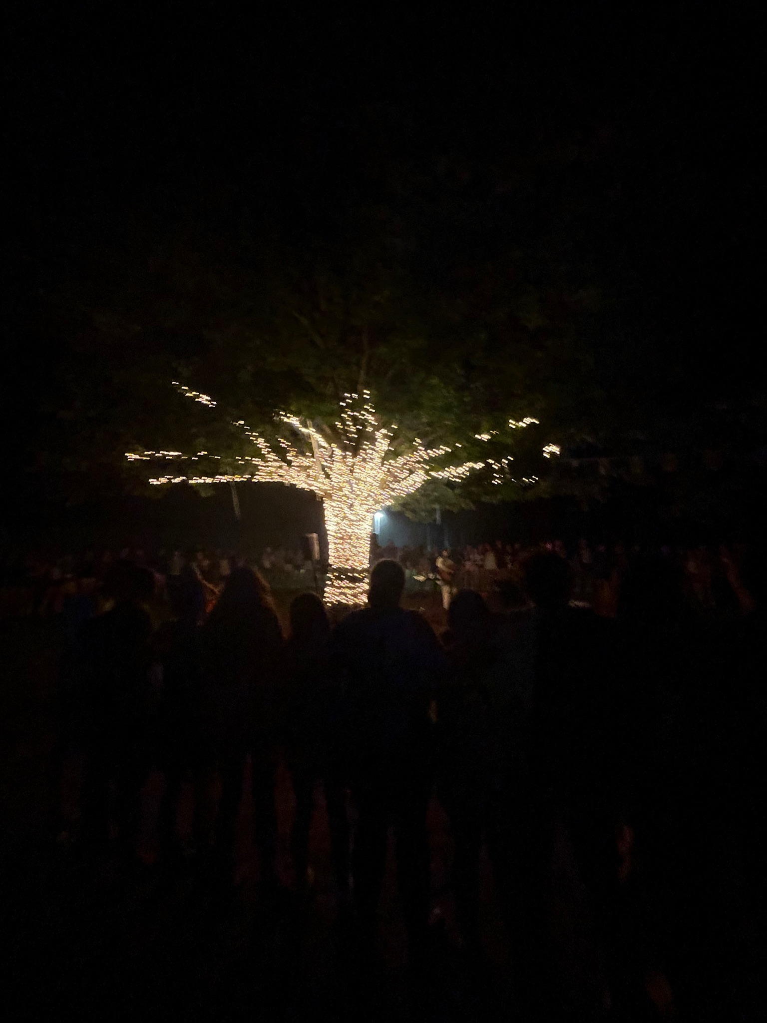 676878221e0c148034af2db5_IMG_3289