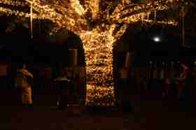 Group of people celebrating on stage