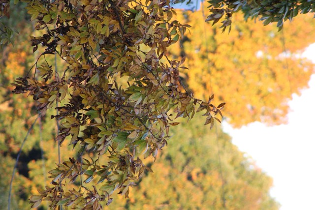 Group of people celebrating on stage